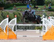 CAPPONI ROYAL STAR ItaAss2013- S5 1220 : CAPPONI FRANCESCA, Campionati Italiani 2013, Cattolica, Horse Riviera Resort, ROYAL STAR, foto di Stefano Secchi ©